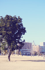 ダイアリー大分駅南 周辺環境image