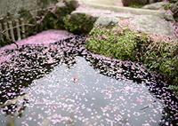 ダイアリー二日市駅前