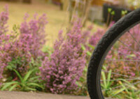 ダイアリー伊都