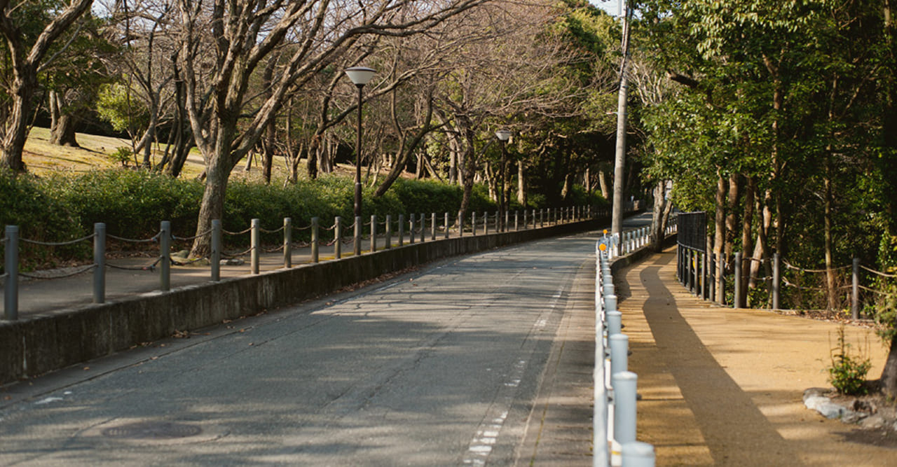 ダイアリー賀茂