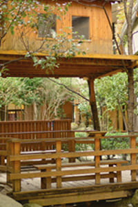 ダイアリー賀茂