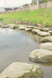 ダイアリー賀茂