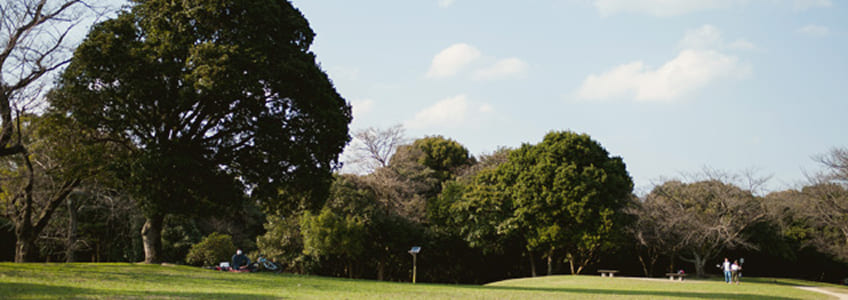 ダイアリー賀茂