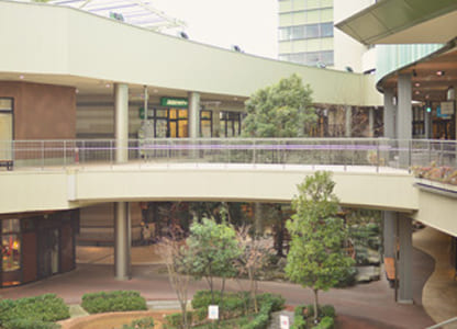 ダイアリー賀茂