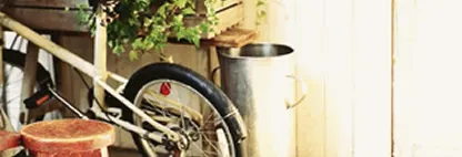 ダイアリー大濠公園