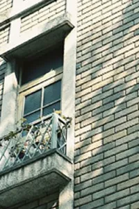 ダイアリー大濠公園