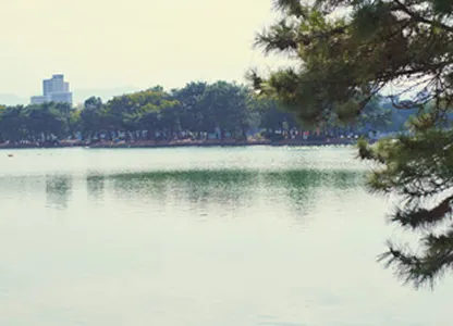 ダイアリー大濠公園