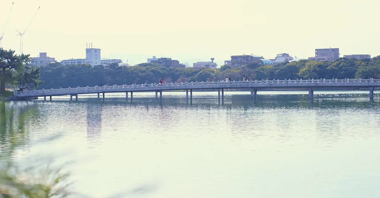 ダイアリー大濠公園